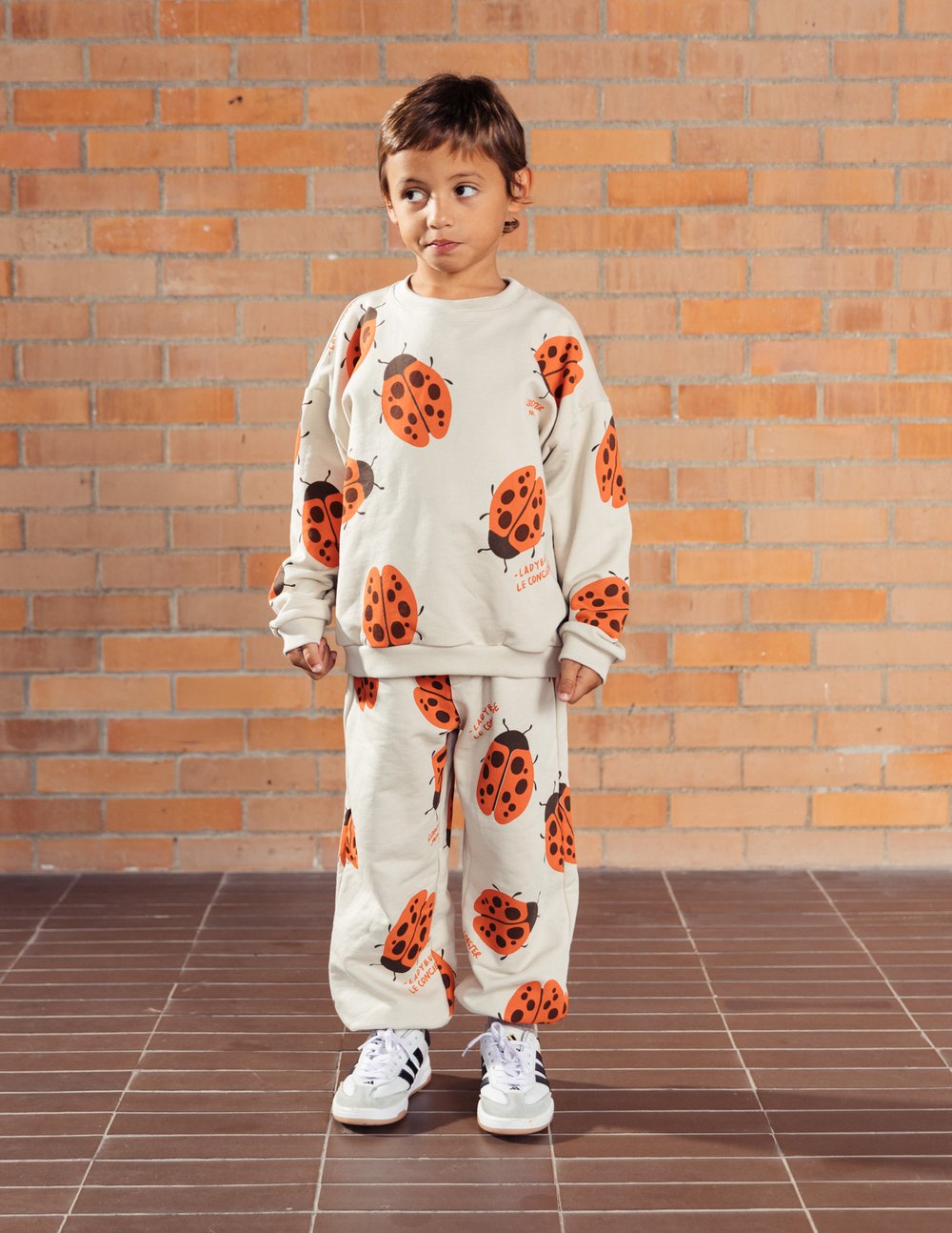 Set Lady Bug
